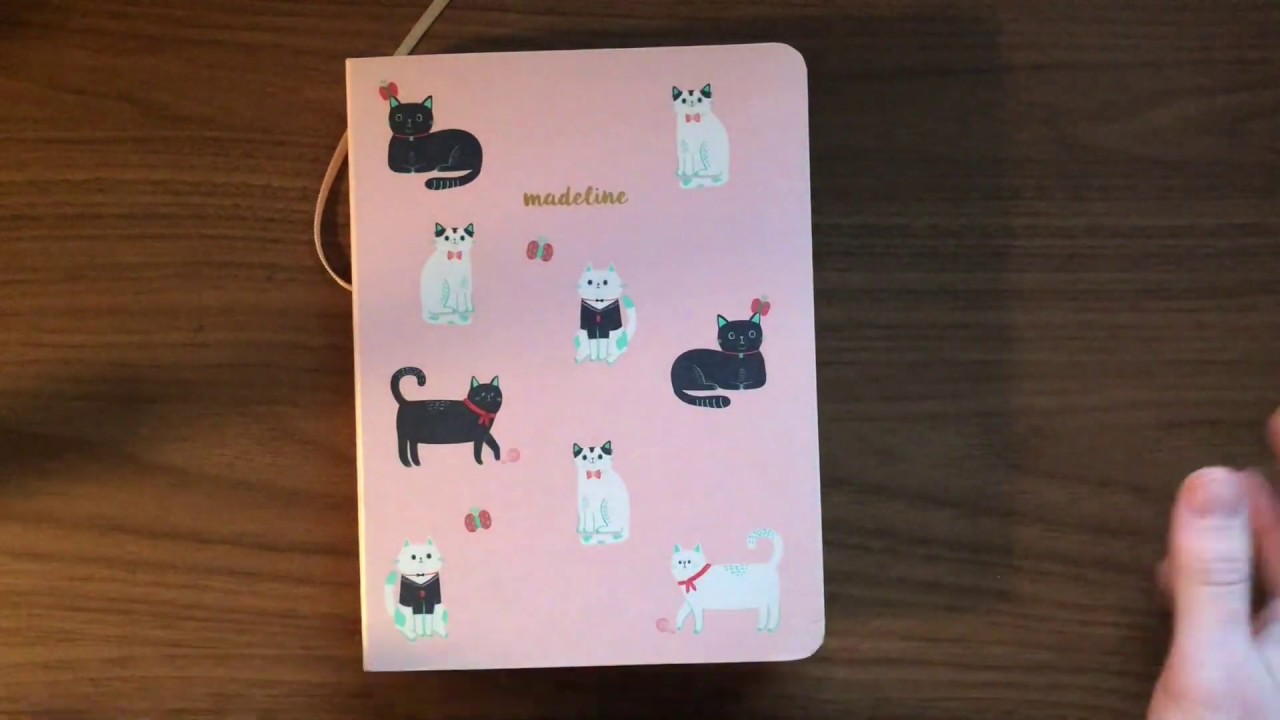2018 flipthrough // mossery co bullet journal