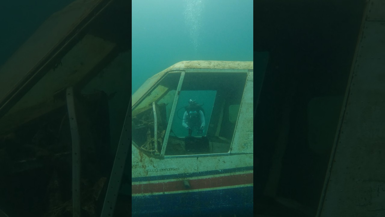 Аквалангистов, похоже, привлекают затонувшие объекты под водой #подводноеплавание #кораблекрушение