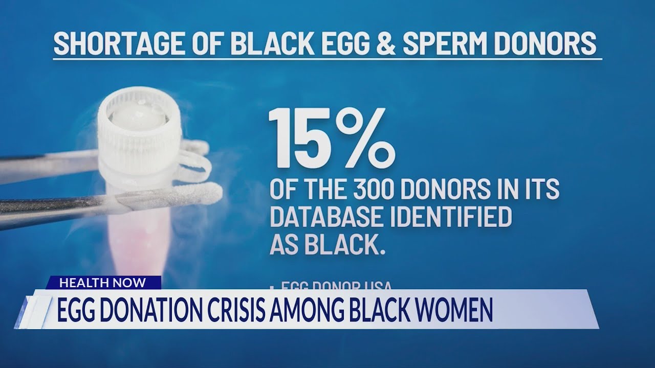 Egg donation crisis among Black Women