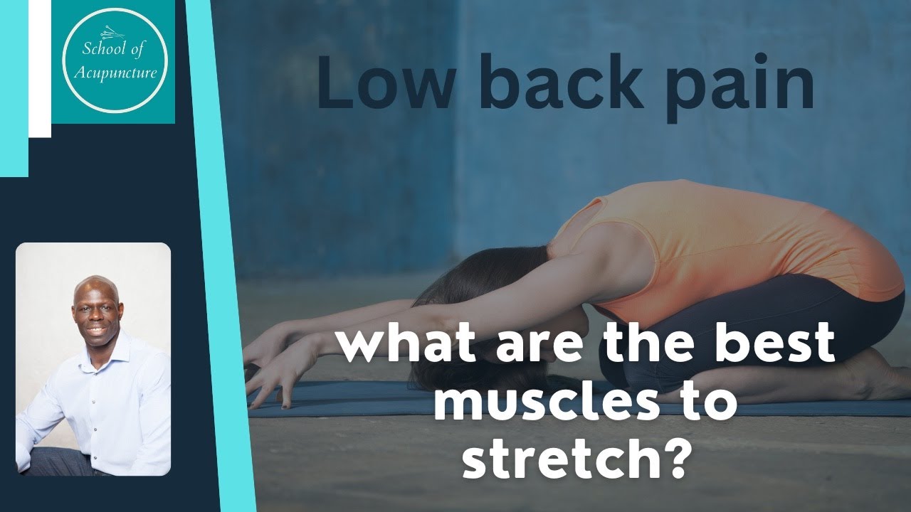 What muscle you should stretch for low back pain: what the evidence say