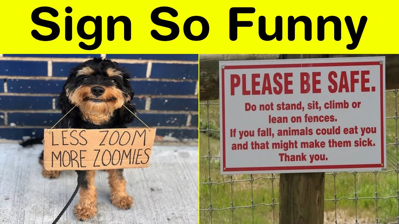 These Signs Are So Funny, They Should Be Illegal! || Happy Panda