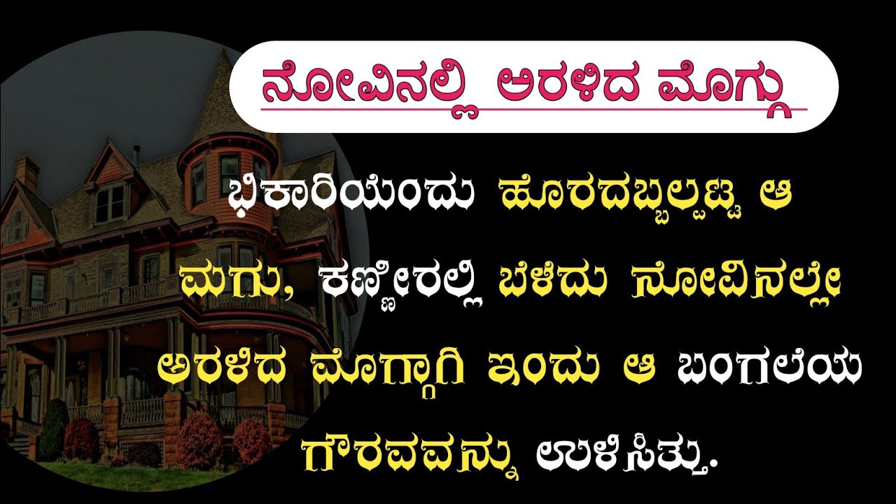 ಭಿಕಾರಿಯೆಂದು ಹೊರದಬ್ಬಿದ ಮೊಮ್ಮಗ ಇಂದು ಬದುಕನ್ನು ಉಳಿಸಿದ ಕಥೆ | #emotionalstory