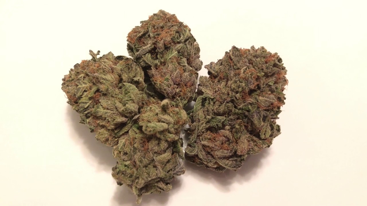 Strain Review - Northern Lights #7 (Sensi Seeds)