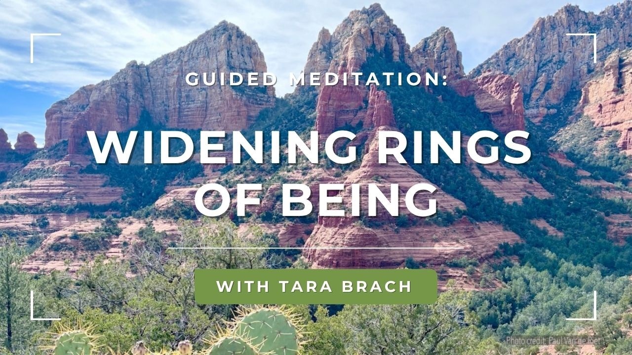 Guided Meditation: Widening Rings of Being | Tara Brach