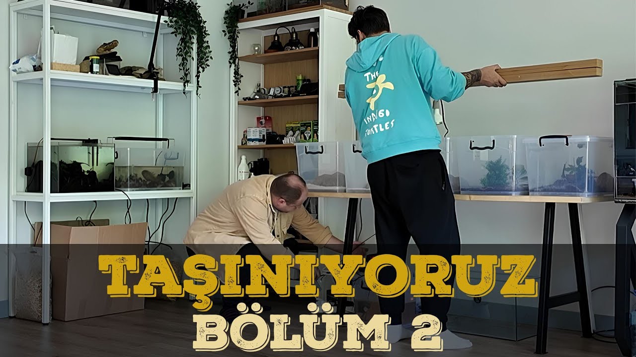 TAŞINMADA BÜYÜK ADIM - BÖLÜM 2