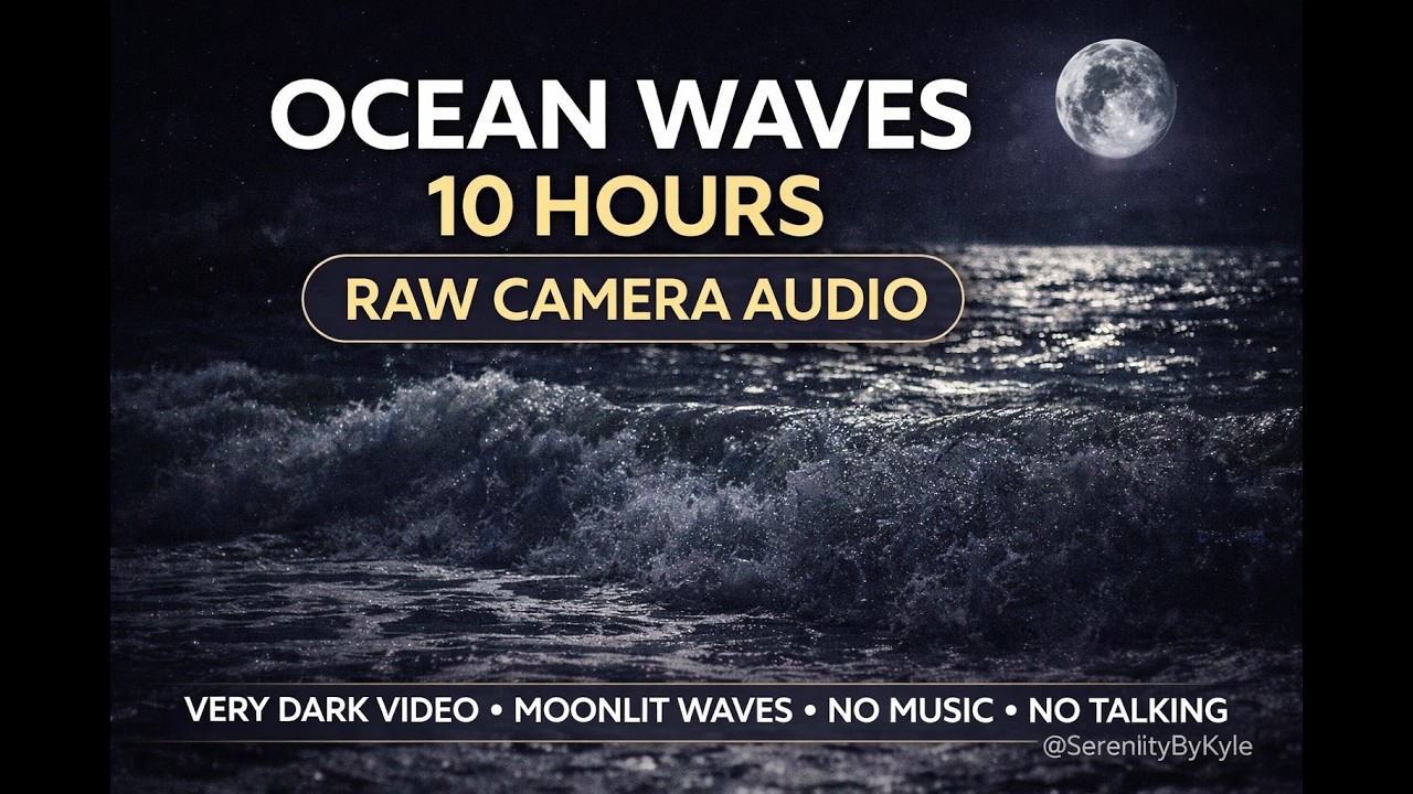 Ocean Waves at Night, 10 Hours, Raw Camera Audio, No Music, No Talking