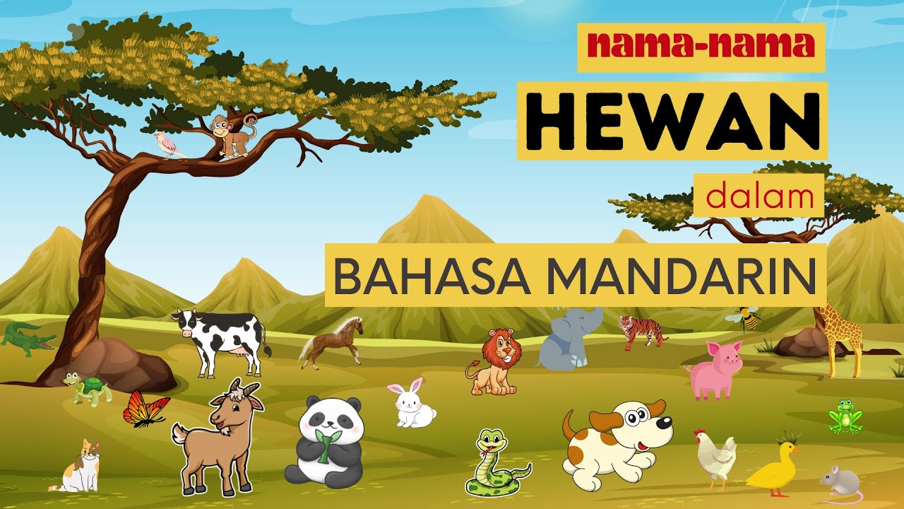 KOSAKATA MANDARIN | Nama-nama Hewan dalam Bahasa Mandarin