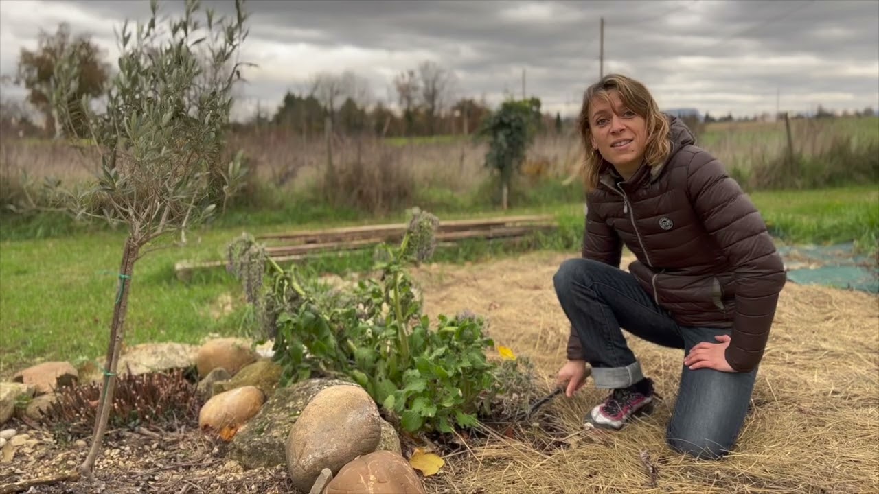 COMPOST 5/5 : Comment utiliser son compost ?