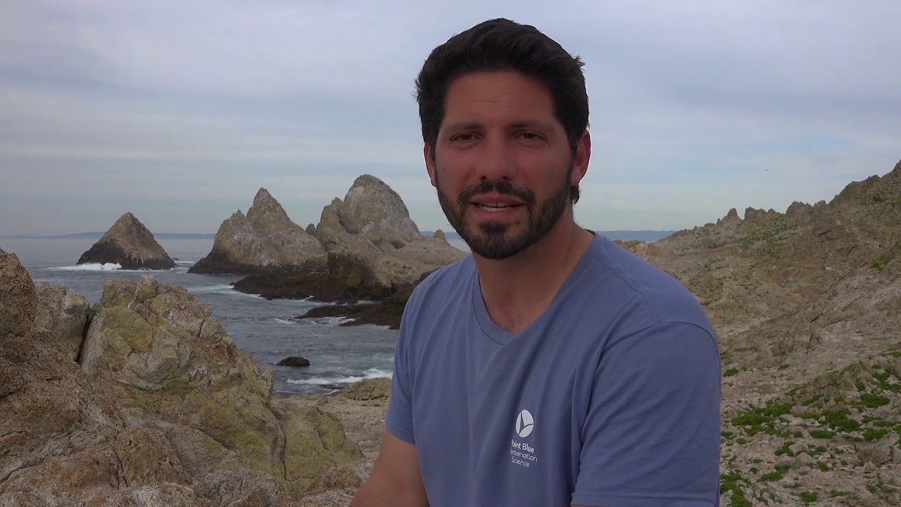 The Farallon Island Experience