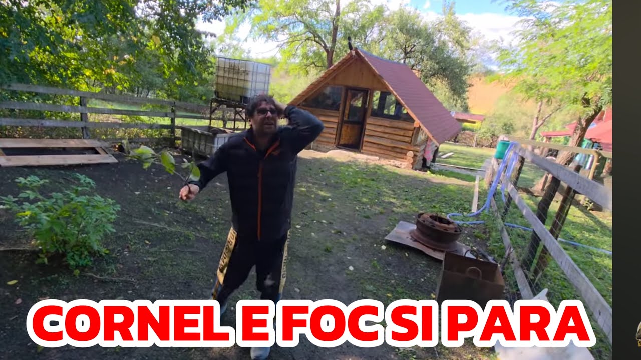 Cătălin ne-a dat în gât ca am furat costița Cornel e foc și pară !