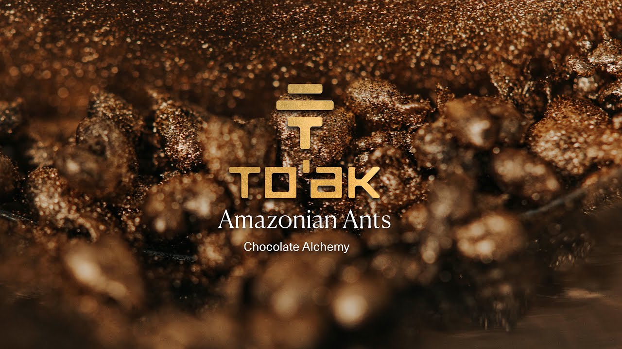 Chocolate Alchemy - Amazonian Ants (Brief Explainer)