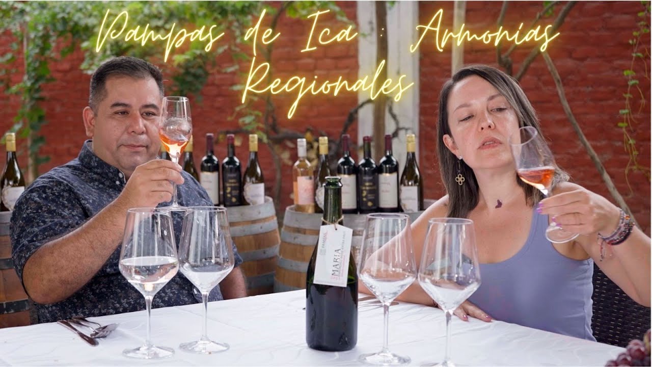 La degustación. Pampas de Ica parte 2