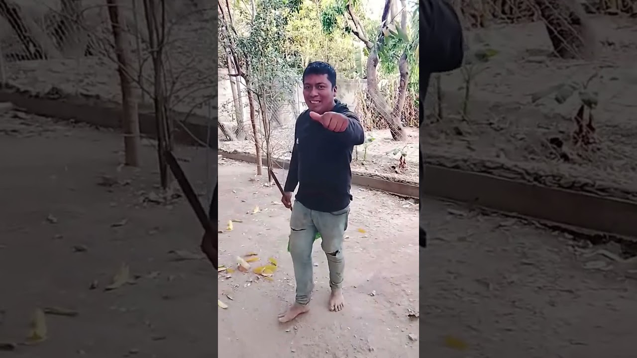 Dándole de comer Amis pollos