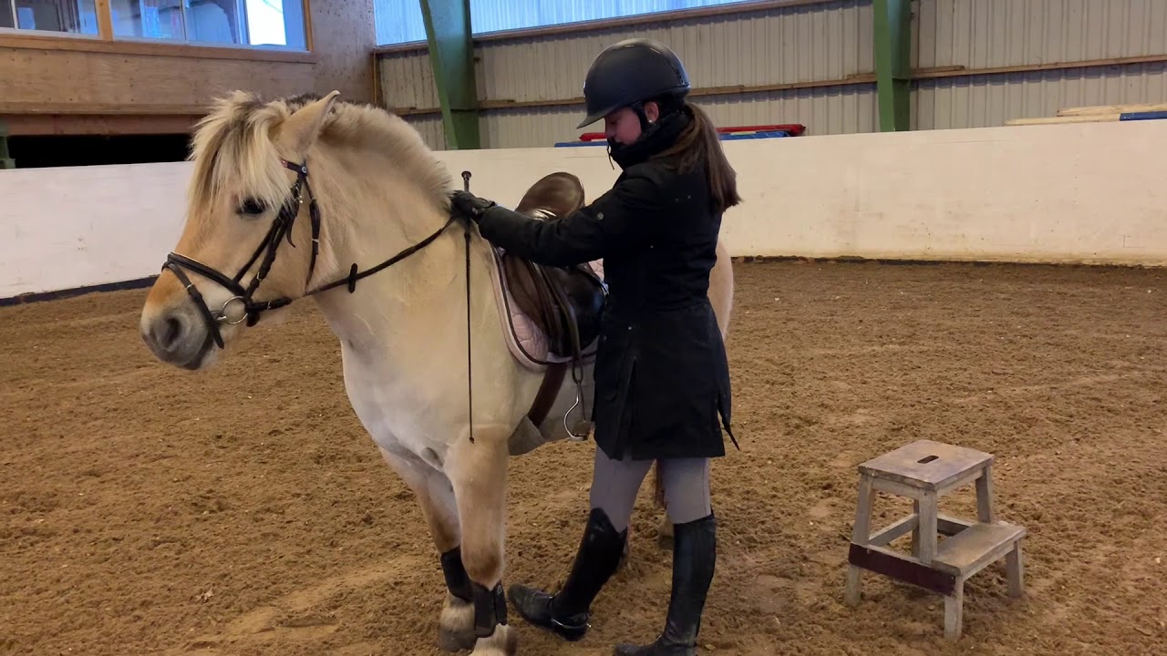 Kunskapspass, upp och avsittning
