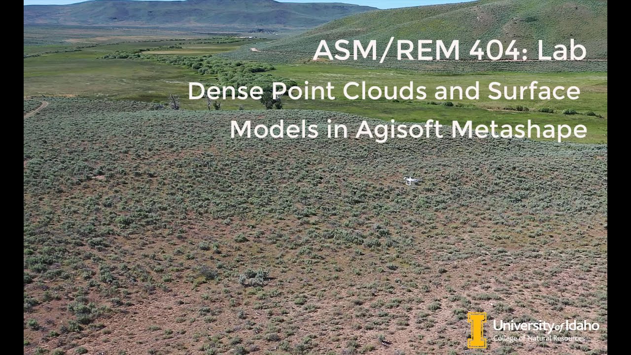 REM 475 Lab: Point clouds and elevation surfaces in Metashape