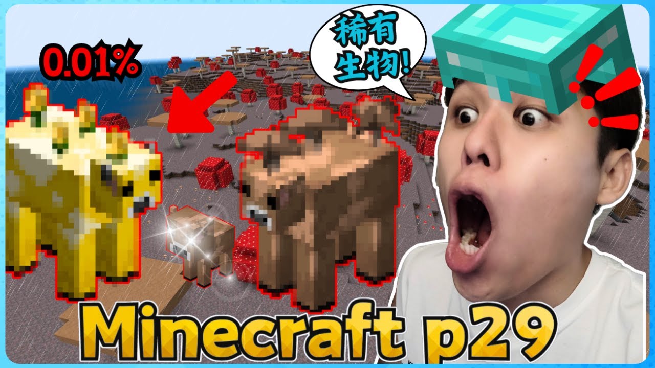 Minecraft 新手玩家的生存实况！我找到超级稀有的动物了！( 我的世界 ) 第二十九集