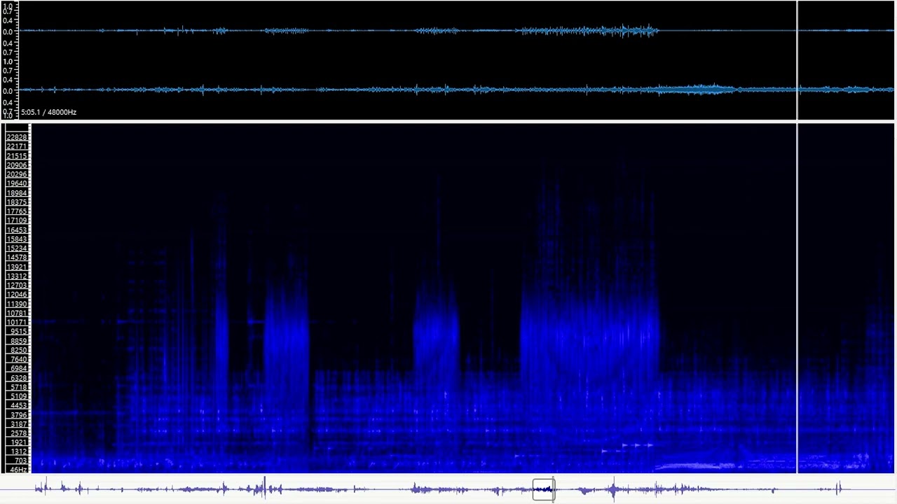 Seong-Hwan LEE : The Water Seeker (Le Chercheur d'Eau) / Electroacoustic