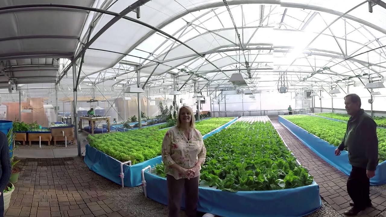 Nelson and Pade VR (3D) Greenhouse Tour