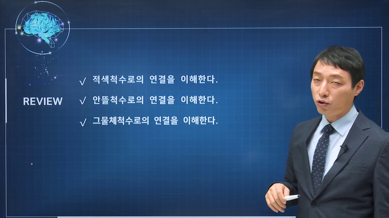 신경과학(신경해부학) 38강 척수로 spinal tract 적색척수로 rubrospinal tract 안뜰척수로 vestibulospinal tract