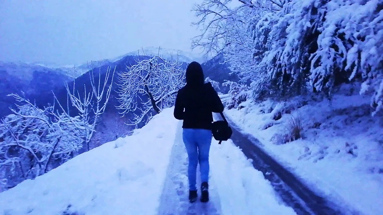 NEVE IN LIGURIA! 23/01/2019