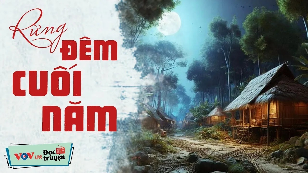 Truyện Hấp Dẫn TỪ PHÚT ĐẦU TIÊN - Rừng Đêm Cuối Năm _ Đọc Truyện Đêm Khuya Đài Tiếng Nói Việt Nam
