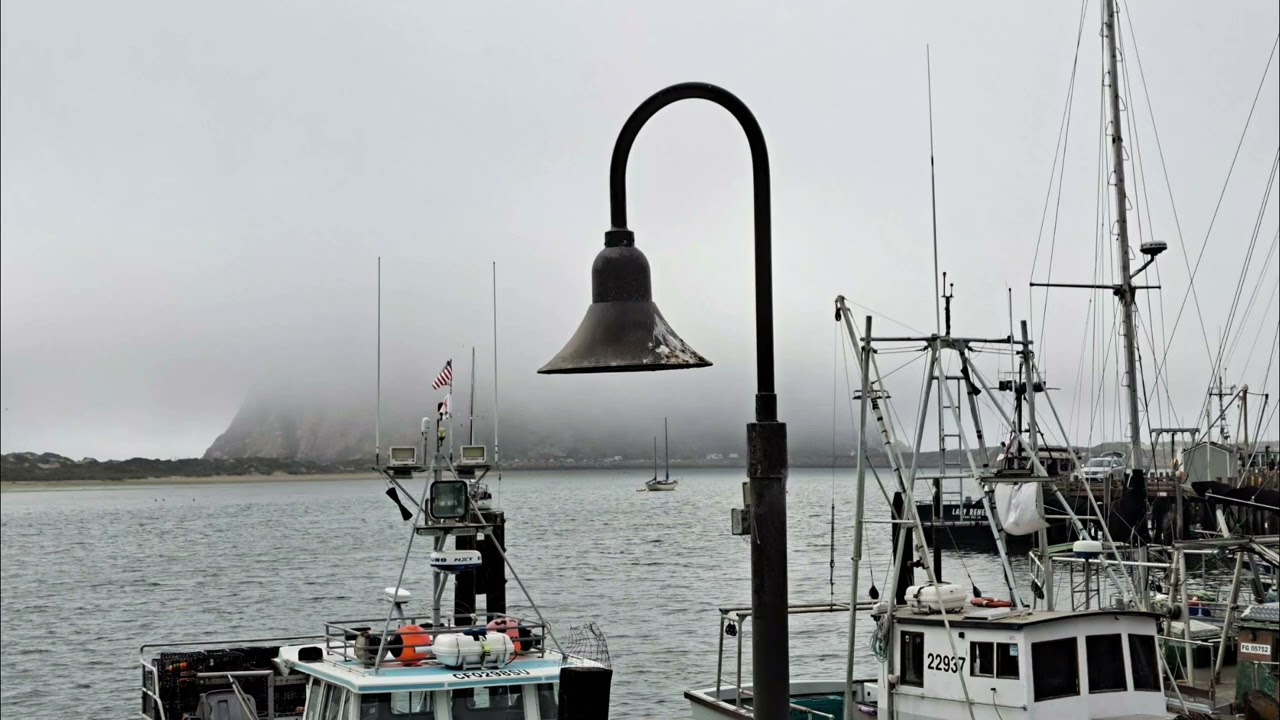 Pacific Coast Hwy (13) #PCH#California#morrobay