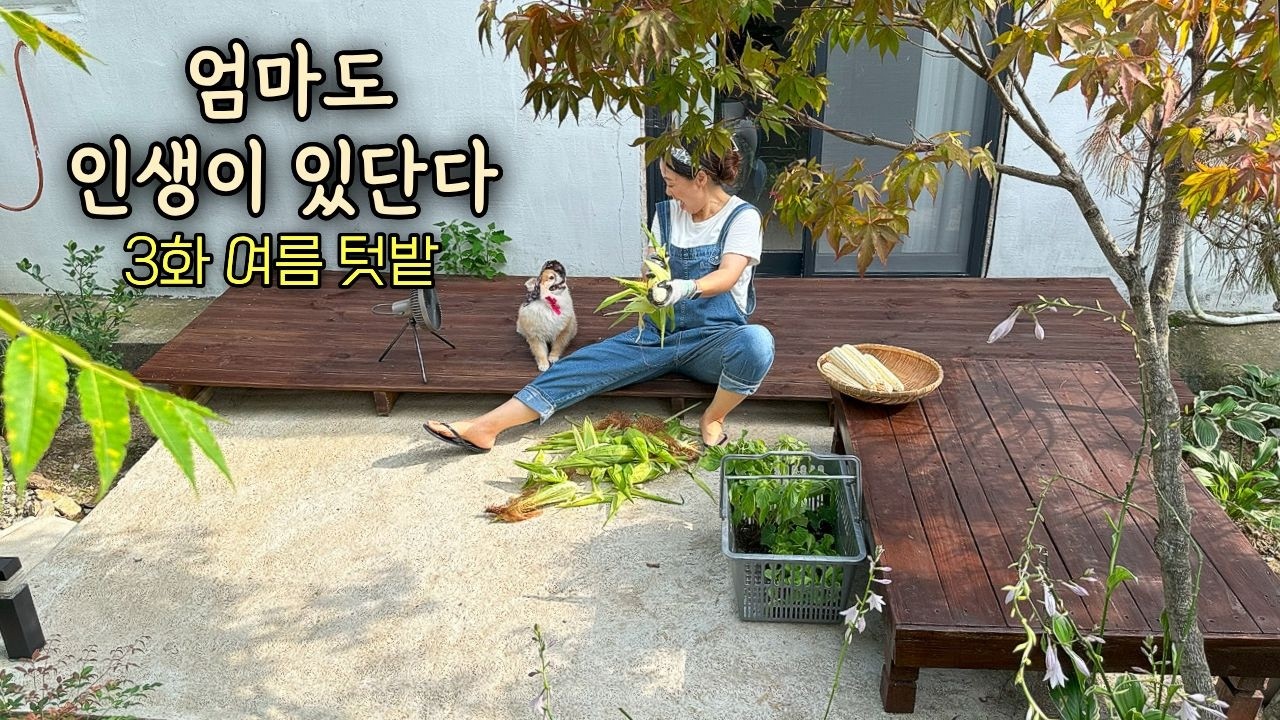 ㆍ내가 만든 작은 텃밭이에요