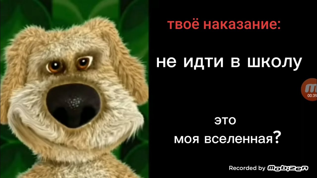 твоё наказание:... #грустныелицабена