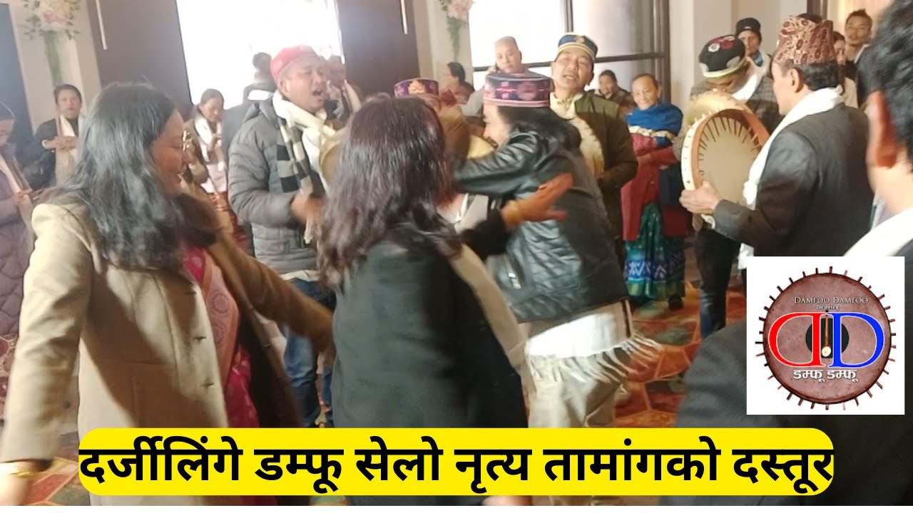 दर्जीलिंगे डम्फू सेलो नृत्य तामांगको दस्तूर / Tamang Selo Dance / Damfoo Damfoo /