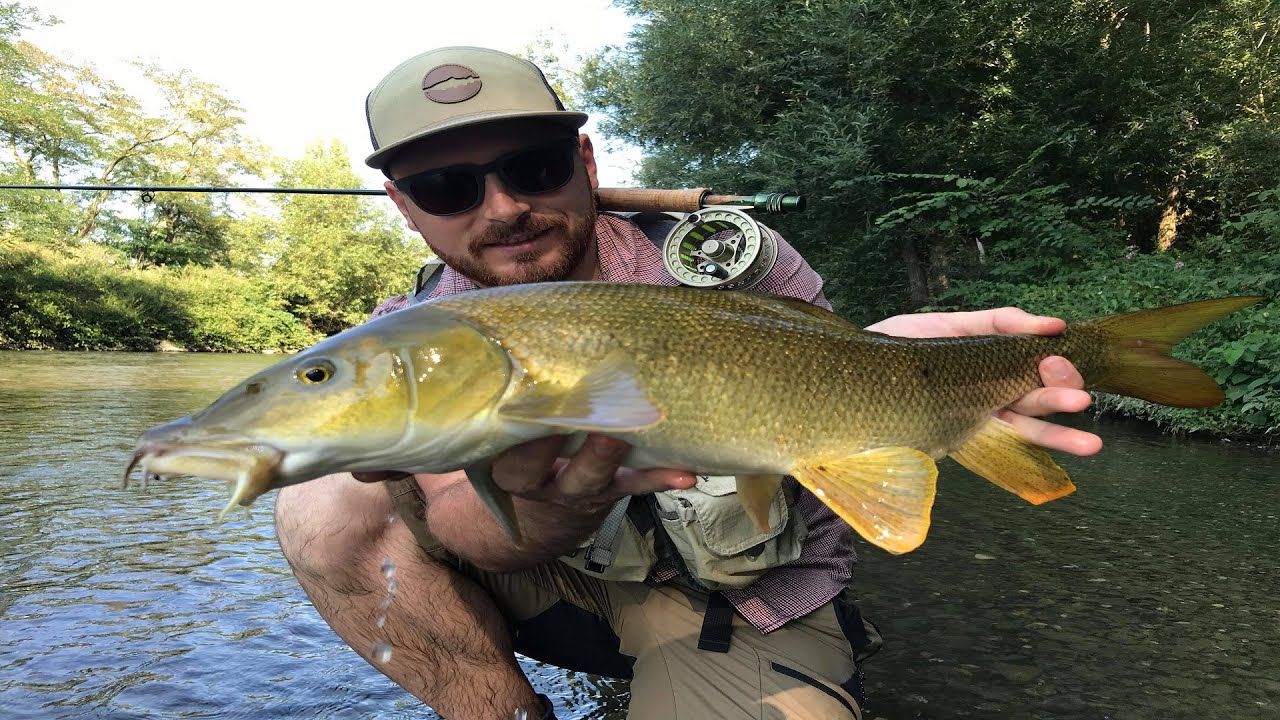 Barbel fly fishing in France