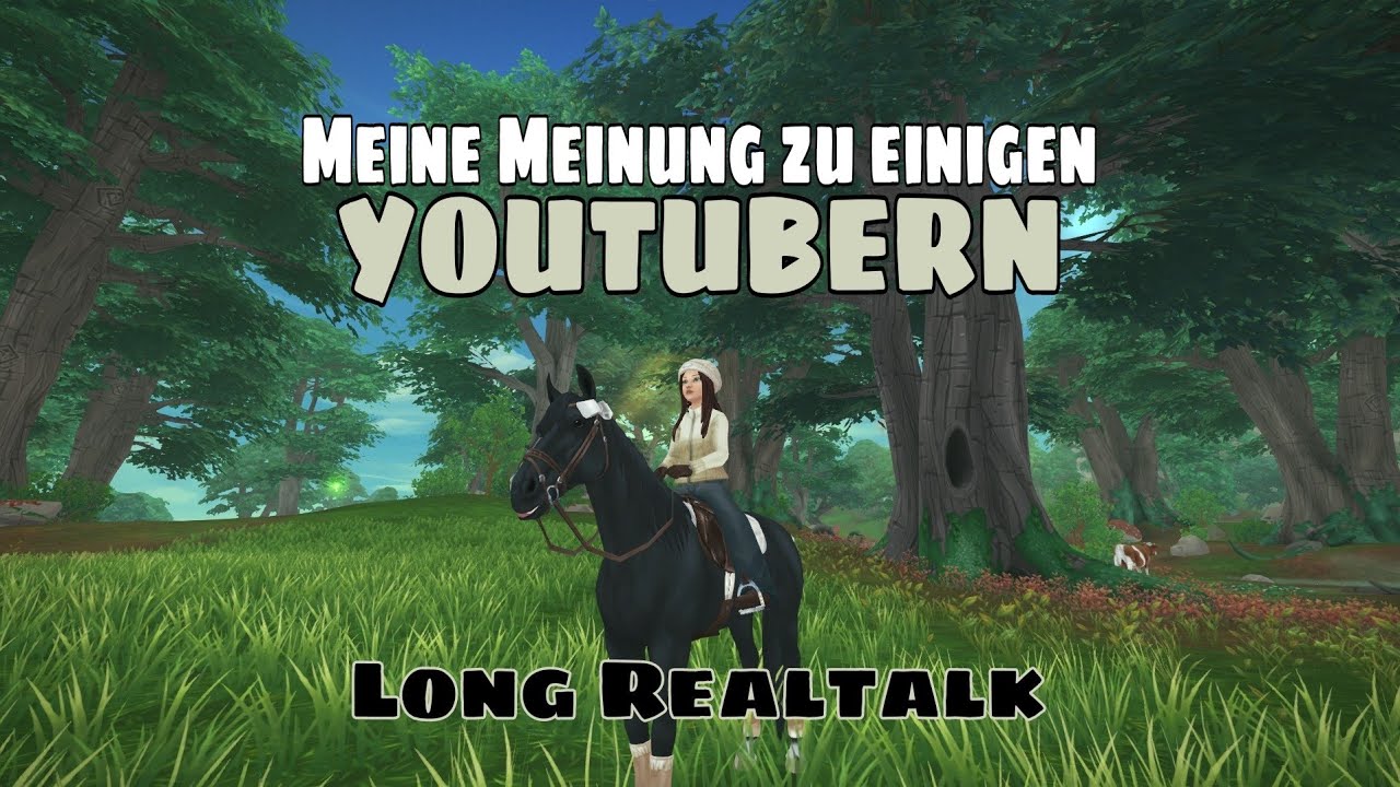 Realtalk: Meine Meinung zu einigen Youtubern - Long Leveltalk // SSO