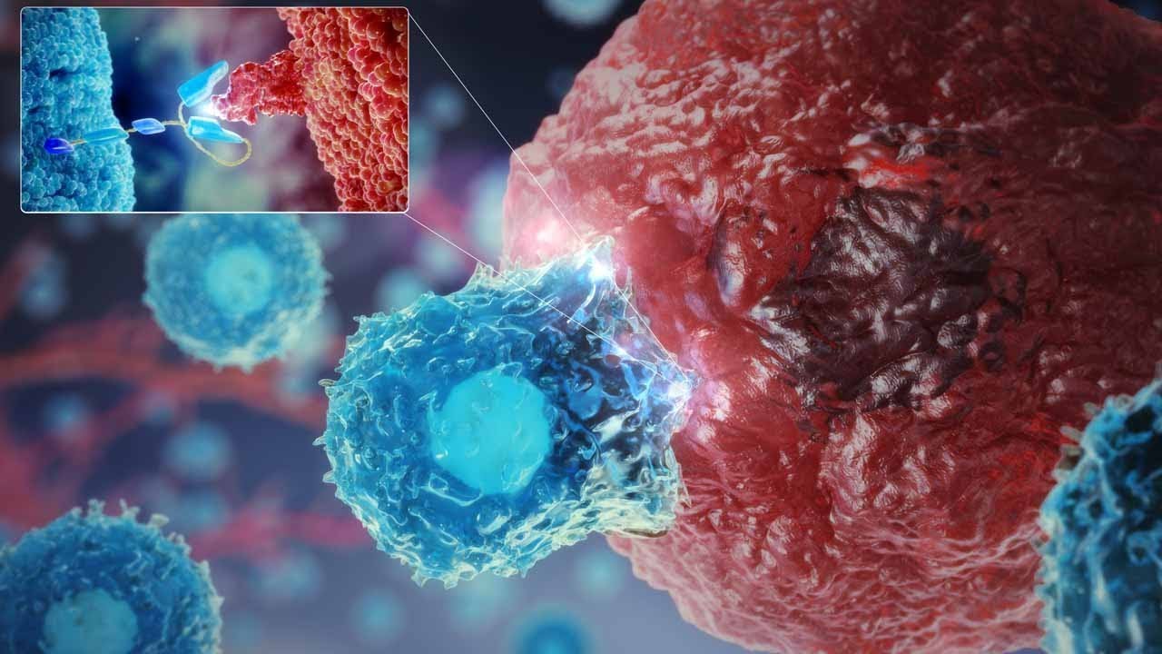 Oncology Cell Therapy: engineering innovative CAR-T cells