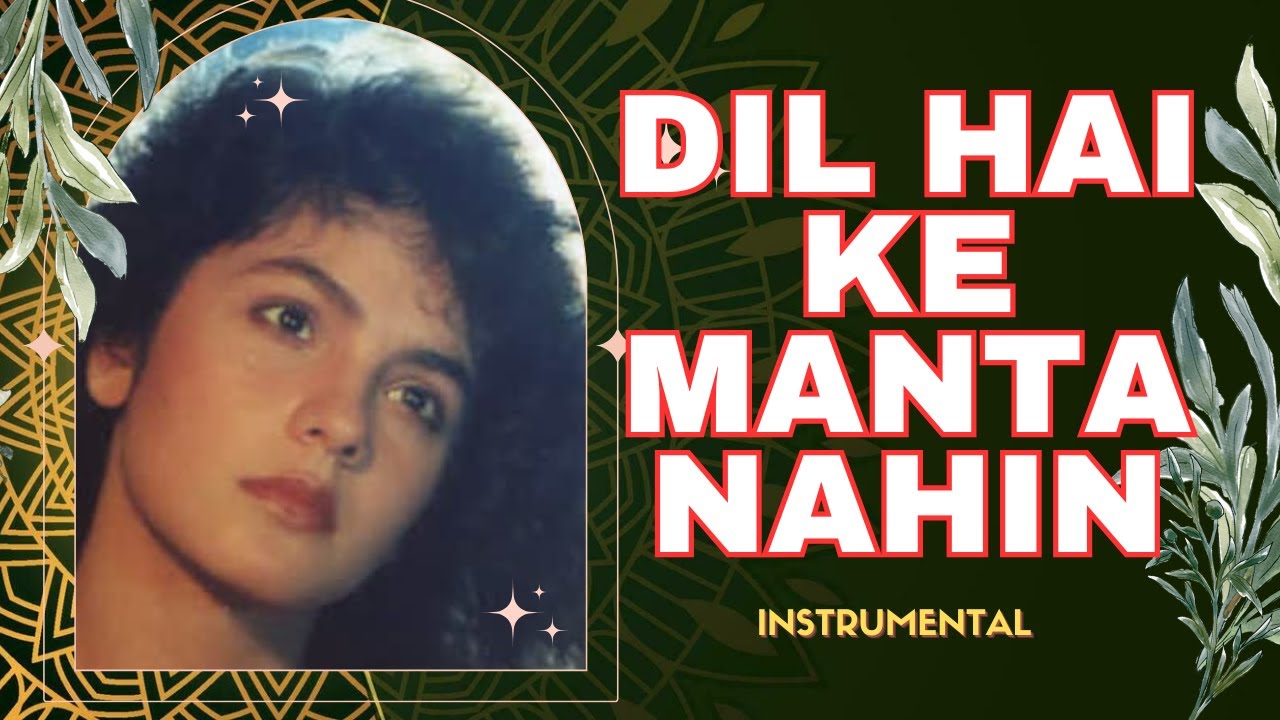 Dil Hai Ke Manta Nahin | Title song | Instrumental | Digital