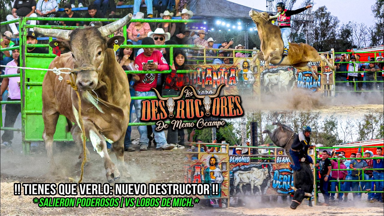TIENES QUE VERLO: NUEVO DESTRUCTOR | SALIERON PODEROSOS | VS LOS LOBOS | Destructores Galindo Qro 26