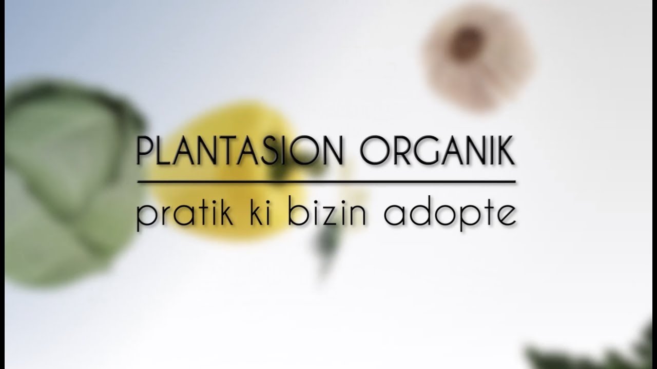 Plantasion Organik a Moris