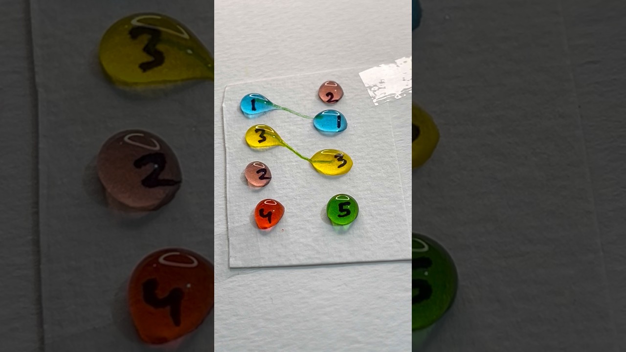 Fun Colors Water Drop 💦#games #shorts #funny