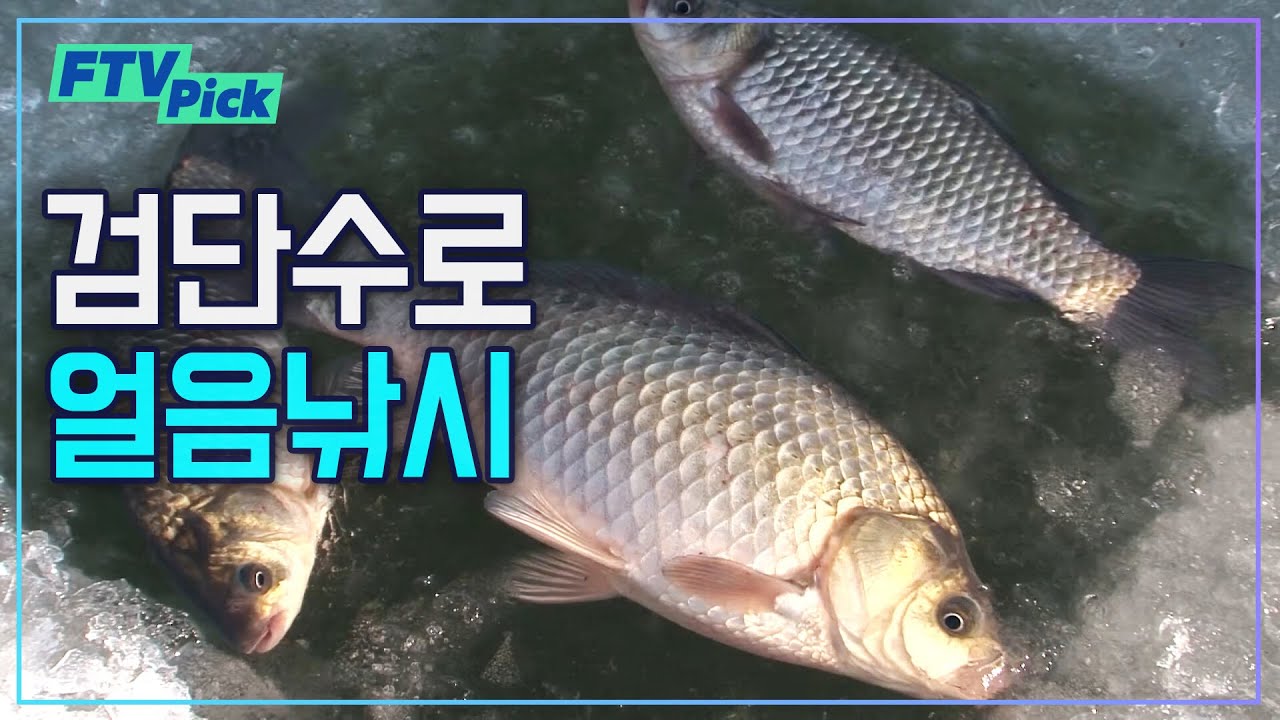 다가오는 얼음낚시 시즌! 검단수로 붕어 얼음낚시 [FTVpick]