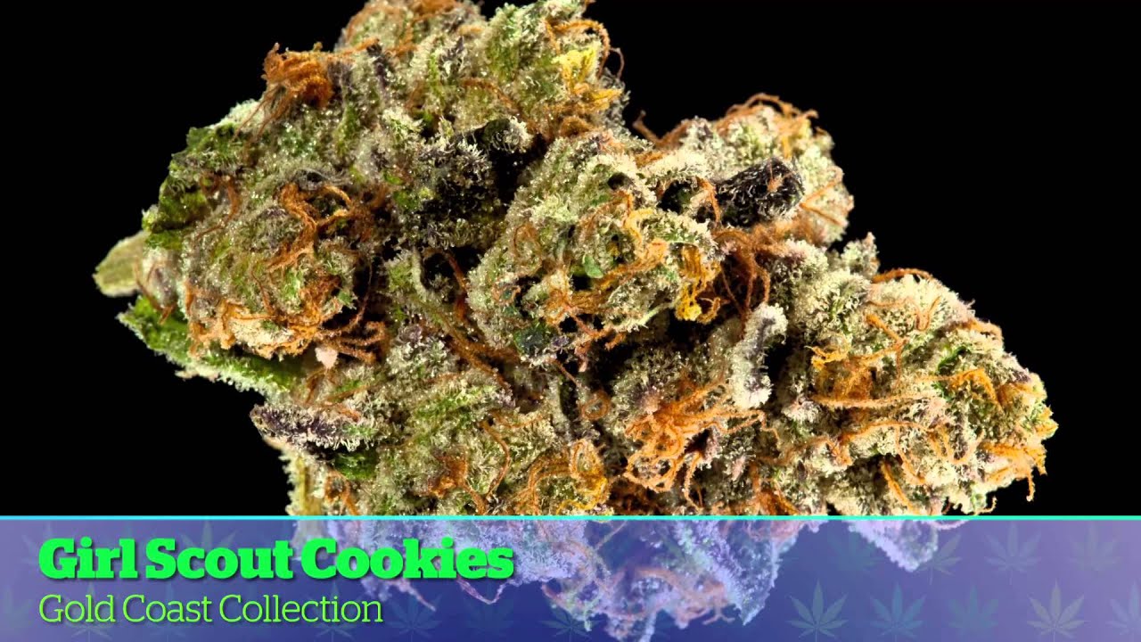LA Medical Cannabis Cup 2014: Hybrid Entries