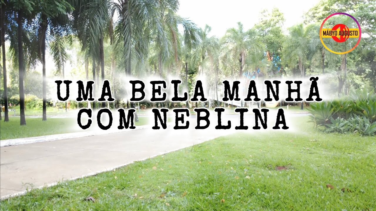 DJI Mini 4K - Uma bela manhã com neblina. #drone  #dji