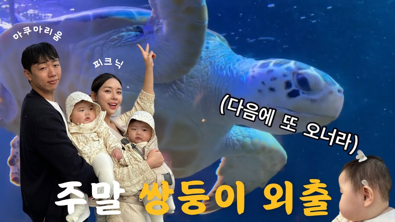 10개월 쌍둥이 아기와 아쿠아리움 도전기