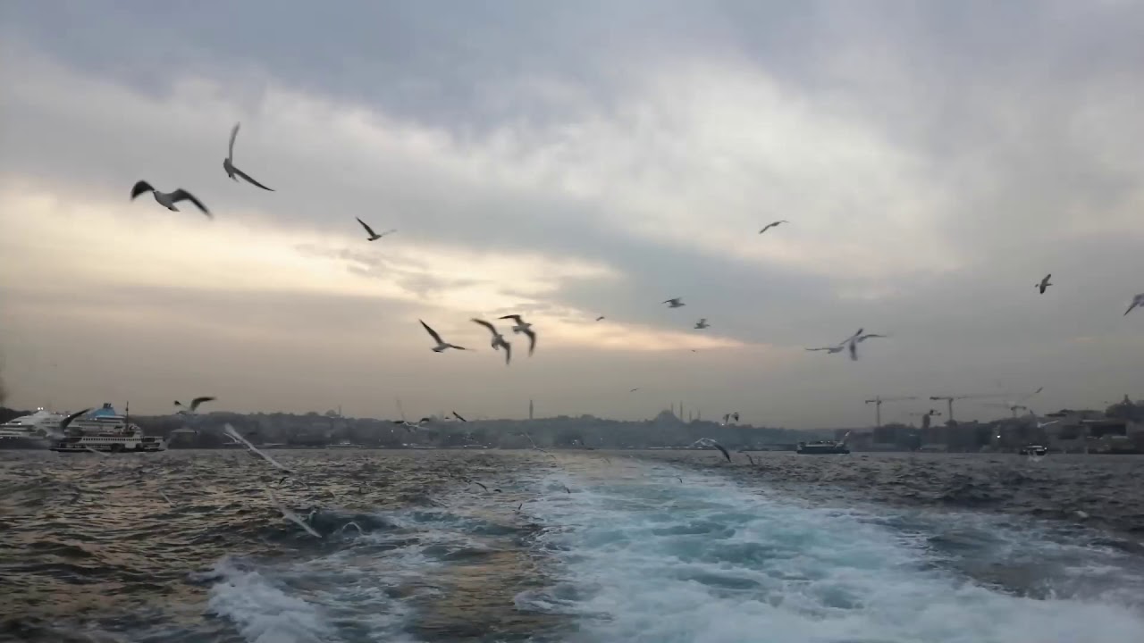 Hayatı ve İstanbul'u özleyenlere.. || Sessiz Vlog, Silent Vlog