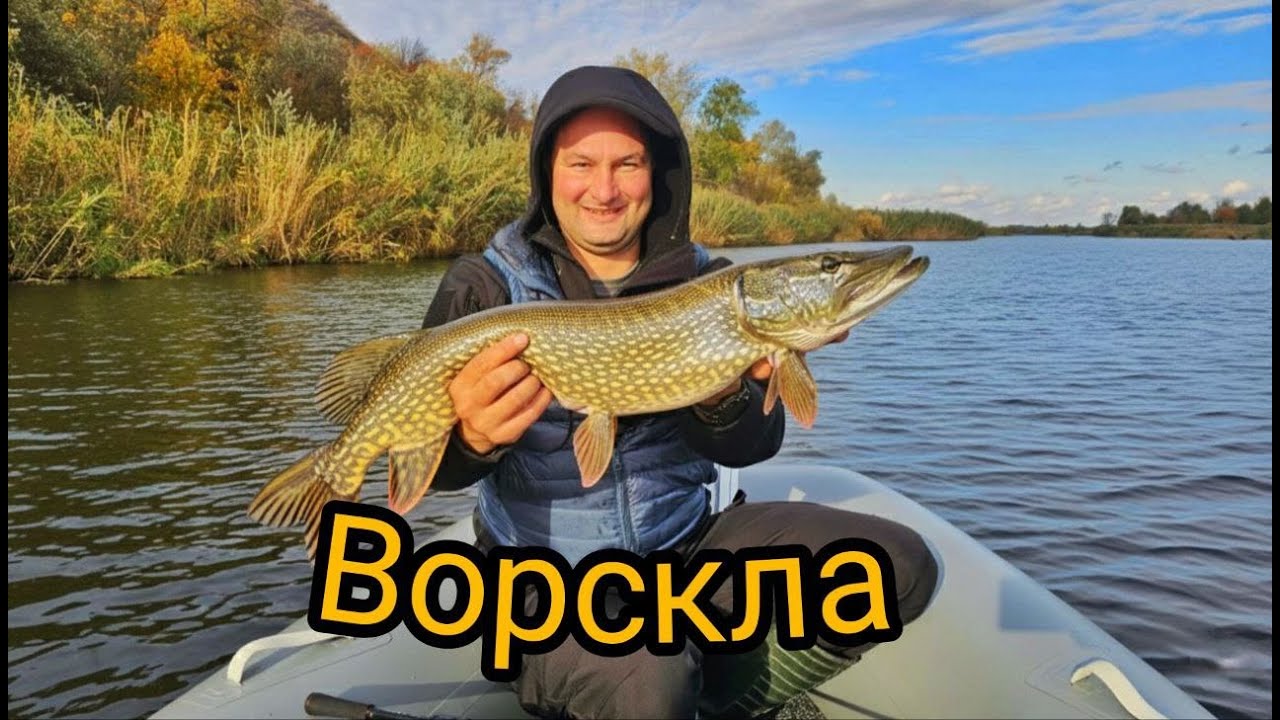 Два дні рибалки на Ворсклі 🎣 Щука і жерех, човен і справжній відпочинок! #рибалка #ворскла  #щука
