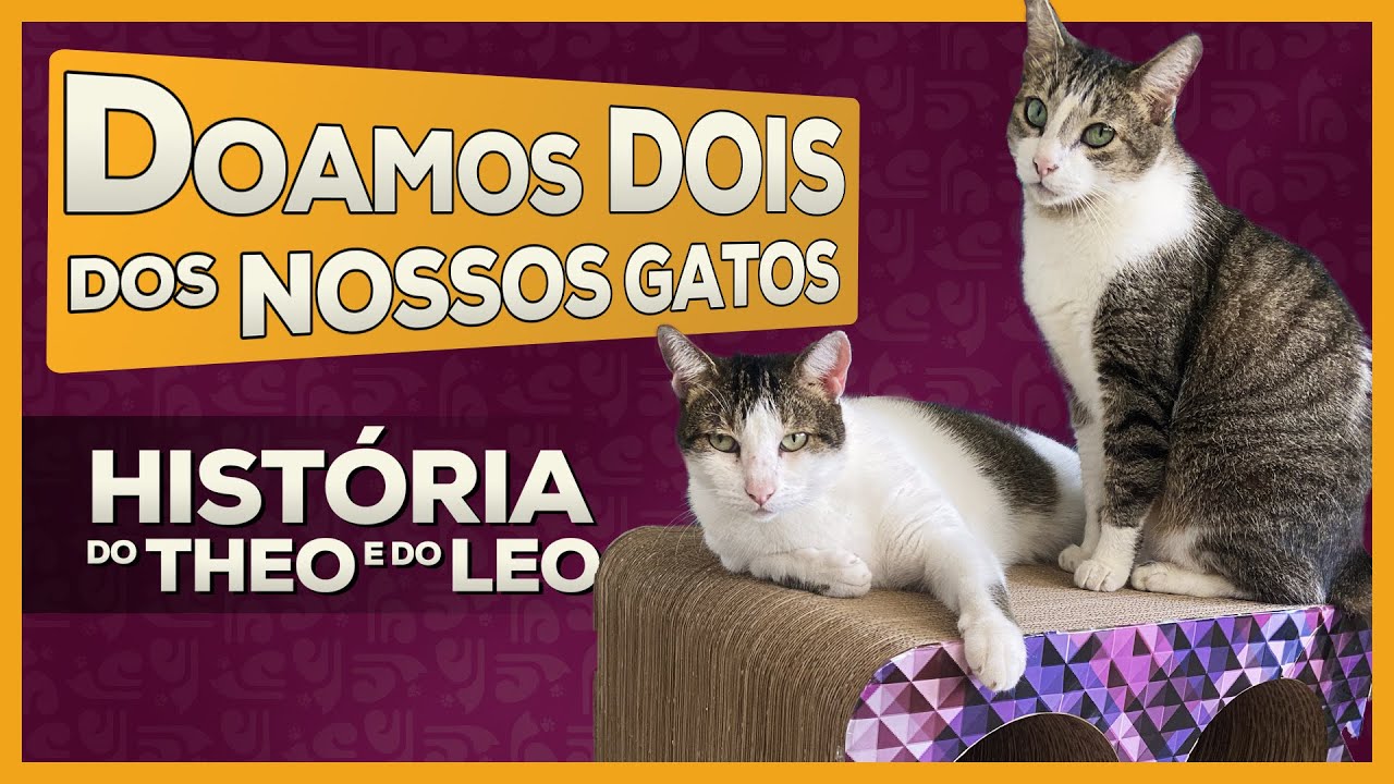Doamos DOIS dos NOSSOS GATOS | Gatinhos da Isa - Theo e Leo