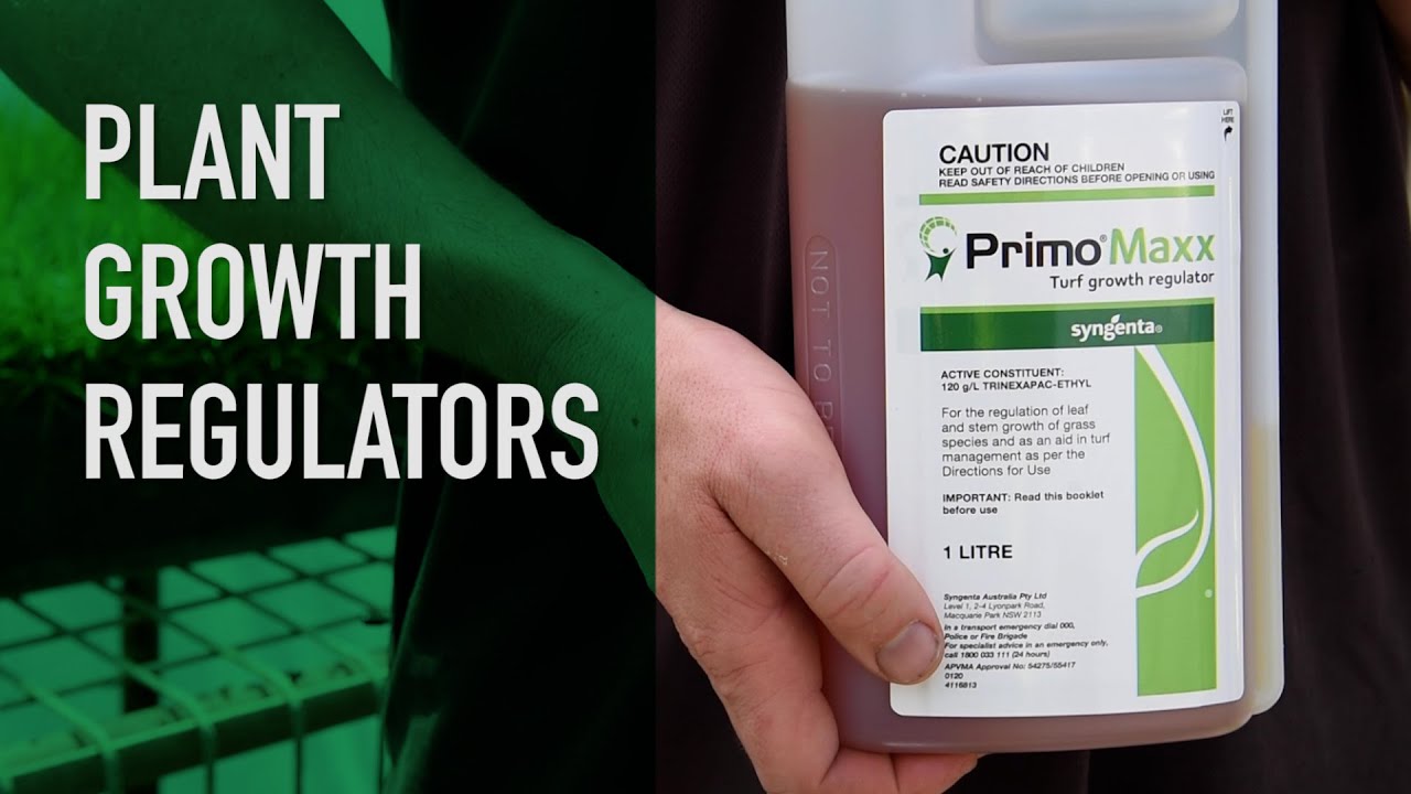 Plant Growth Regulators | Primo Maxx