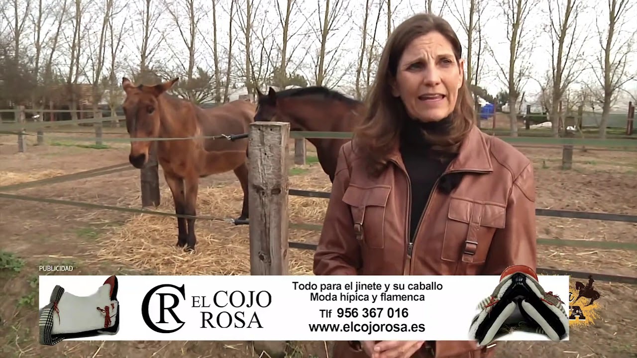 ¿Has pensado alguna vez en dejar tu caballo sin herraduras?