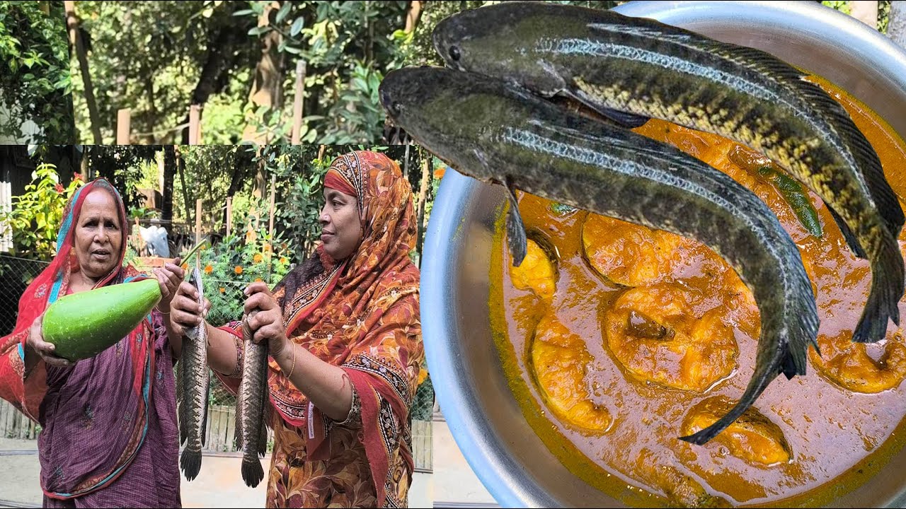 বাটা মসলা দিয়ে রান্না করলো পাকা শৈল মাছ একসঙ্গে দুই হাত দিয়ে রান্না করল বিথীর মা স্বাদের তরকারি