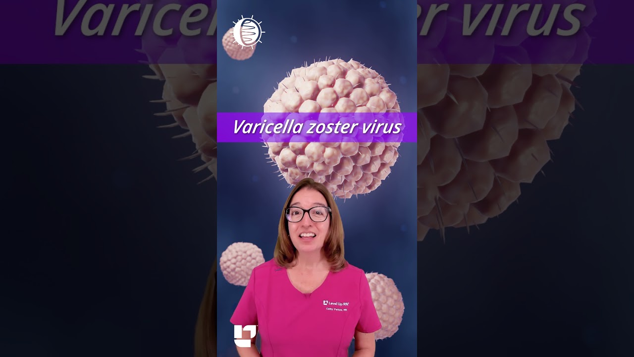 Varicella Zoster Virus (VZV): Microbial Diversity, Microbio Pre-Nursing, Pre-MED SHORT | @LevelUpRN