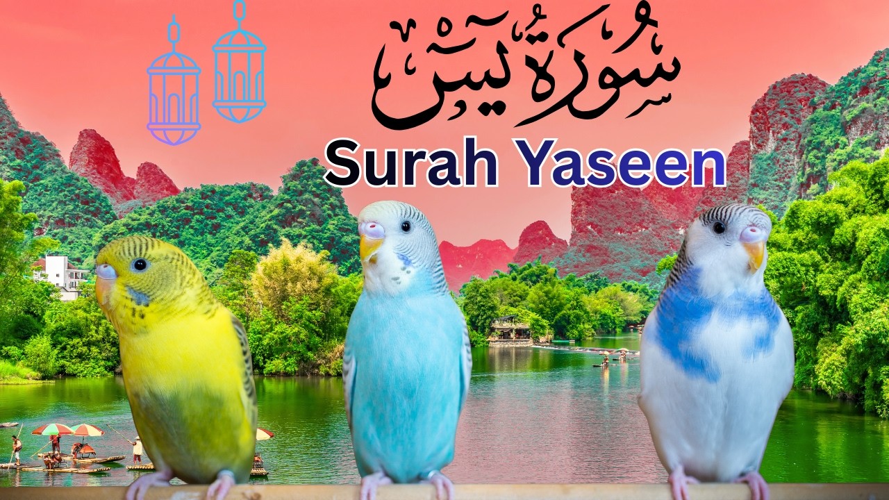 Surah Yaseen Full | Beautiful Quran Recitation | Heart Touching Tilawat #surahyaseen