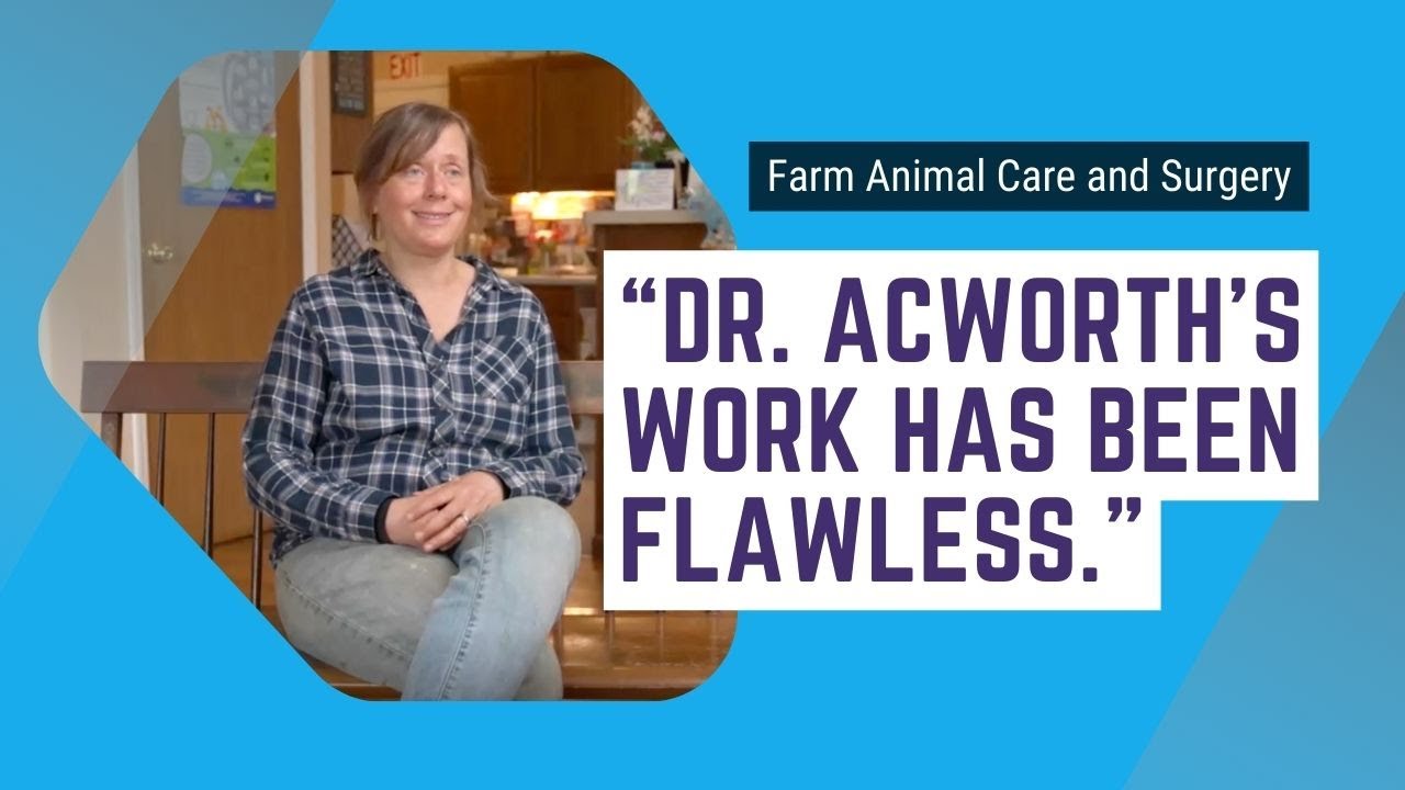 Testimonial: "Flawless Care of Our Sheep and Goats." | Modena, NY Vet