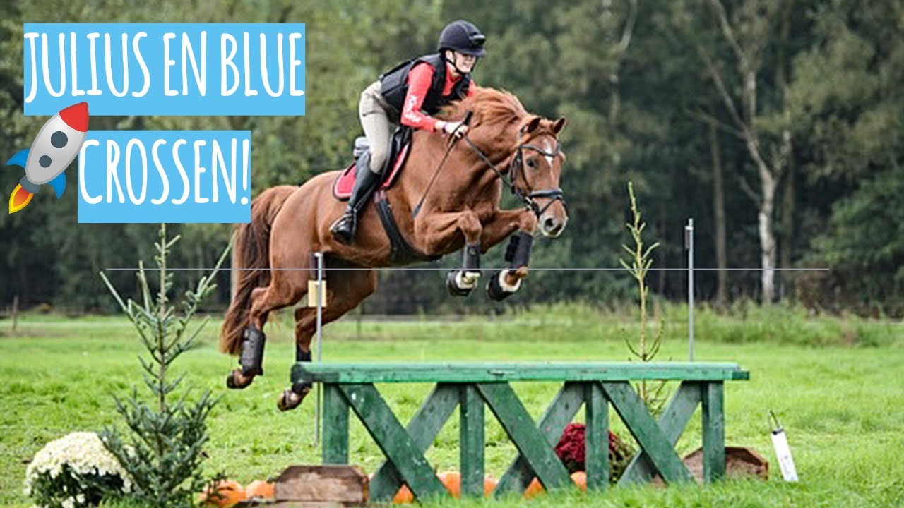 Dubbel FOUTLOOS door de laatste CROSS van het jaar! 💪 Eventing Ysselsteyn || vlog #50 || Kim Dior